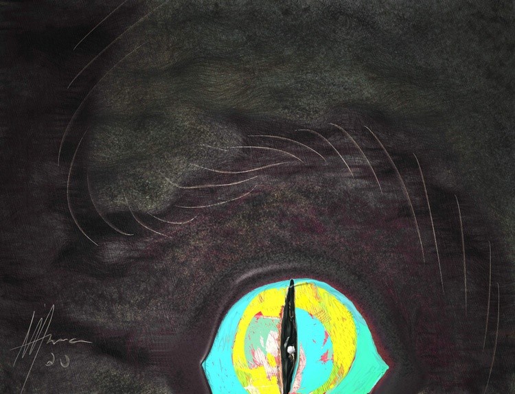 EYE OF CAT