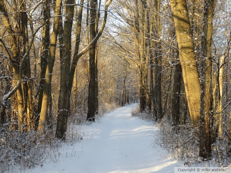 sunny snow trail