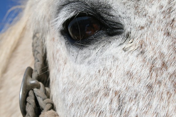 Eye of the Beholder
