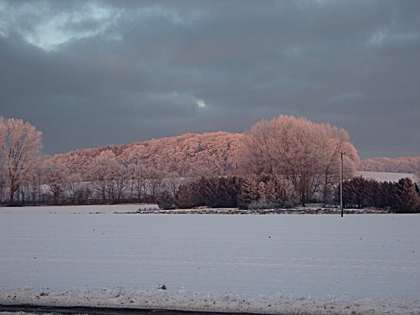 Winter in the last glow of the sunset