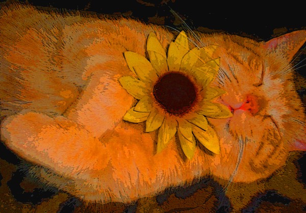 Scotchie and Sunflower