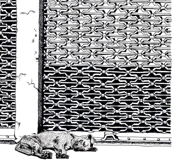 Stray Dog
