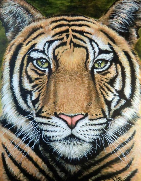 Tiger's Last Roar