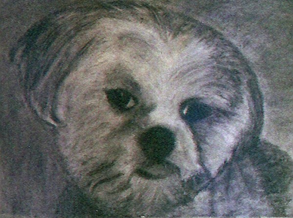 Paulette