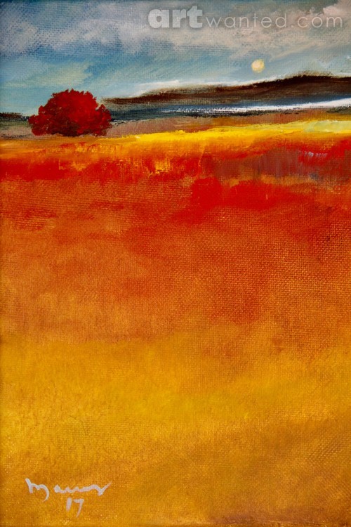 Red Flamboyant Garden