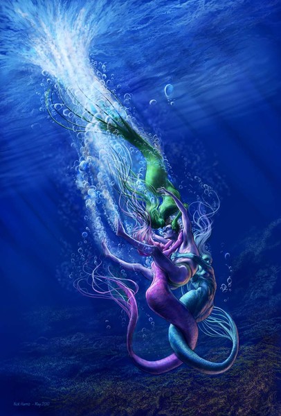 Saltwater Tangle