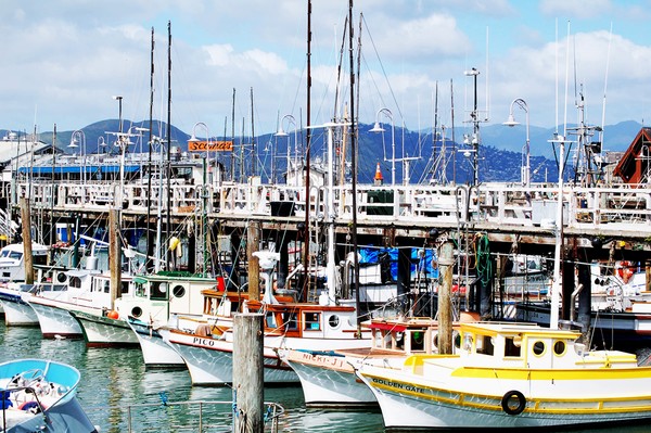 San Francisco Harbor