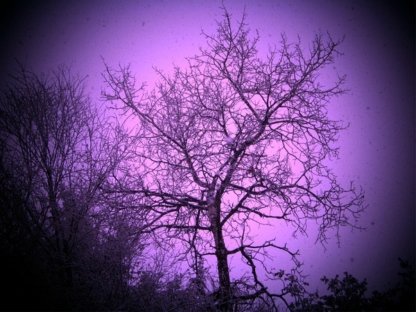 Winters Glow