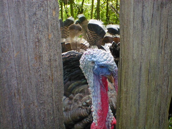 Up close and personal