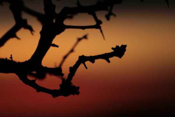 A glorious sunset