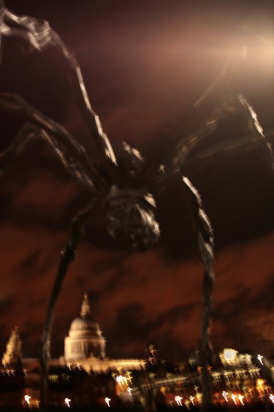 Spider  from Mars