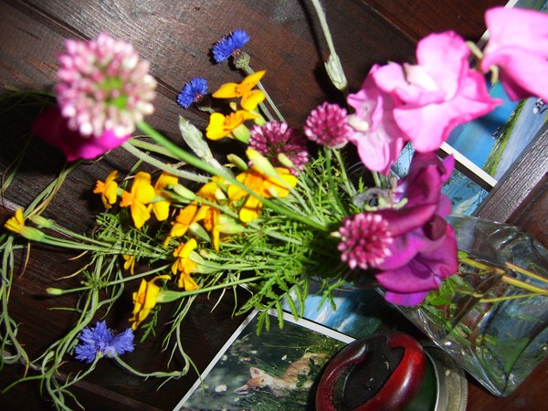 garden flowers