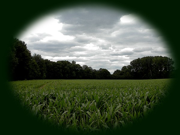 rainy day in June