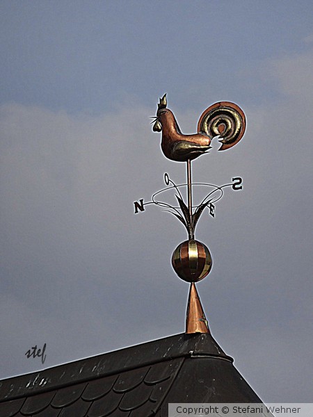rooster on the top