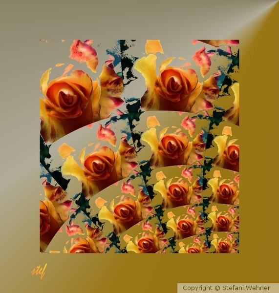 rose touched