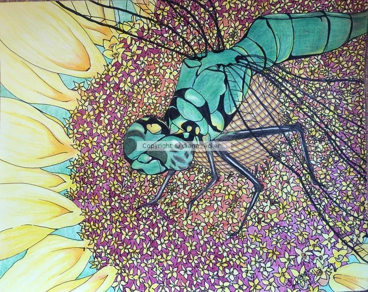 Green dragonfly on sunflower 2016 series #4