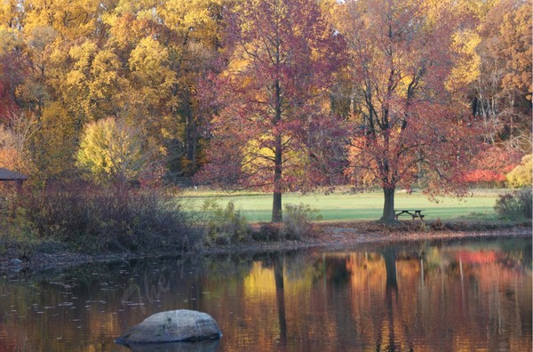 Bellevue State Park