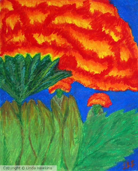Orange Flowers