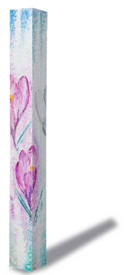 Beam Crocus-albiflorus