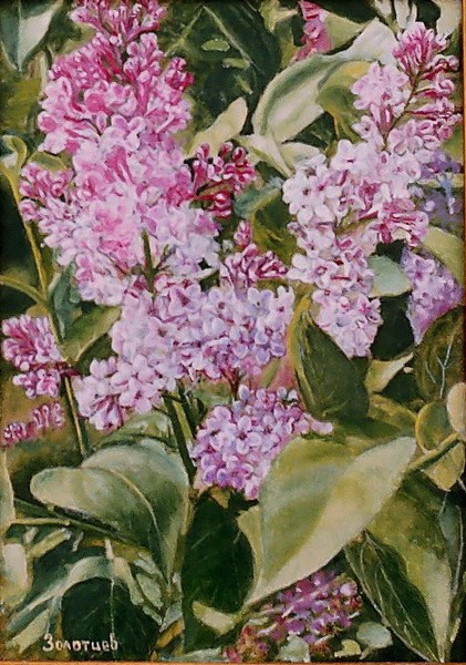 Oil Painting 
