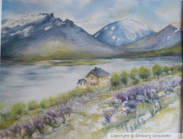 June in bloom... Iceland