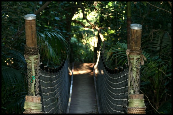 Suspension bridge