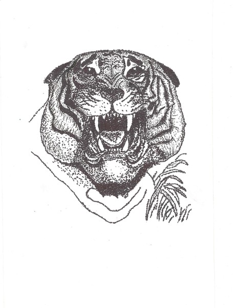 Tiger 