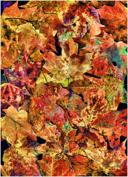 Quilted Leaves