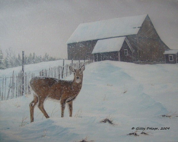 Winter wonderland