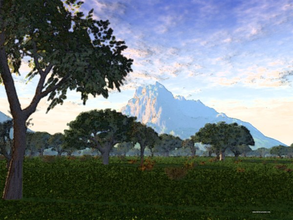 Panoramic View