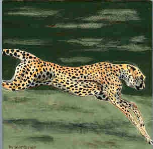 Cheetah Fast
