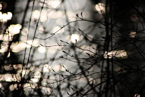 Flow II