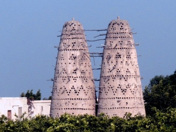 Pigeon coop