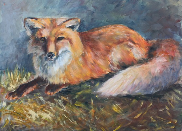 Mr. Fox