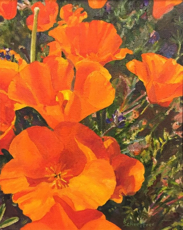 Poppies