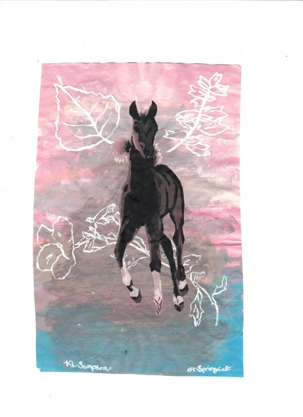 Spring Colt