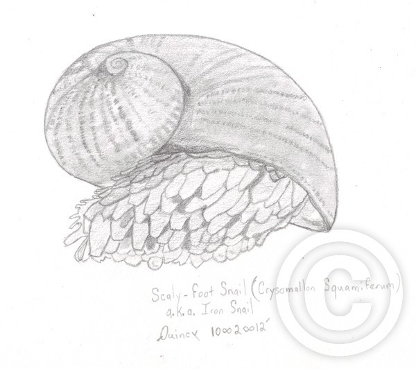 Iron Snail