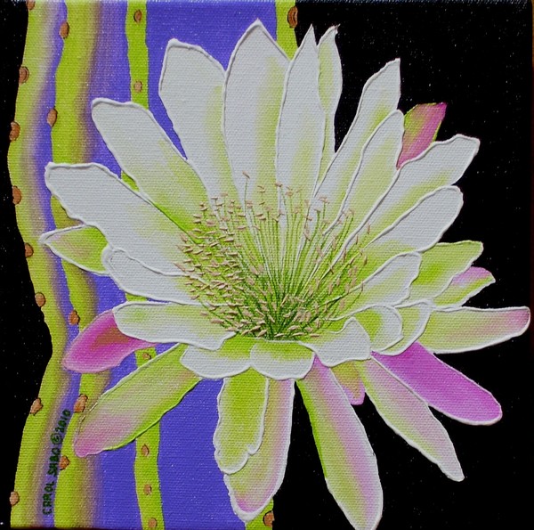 Night Bloomer