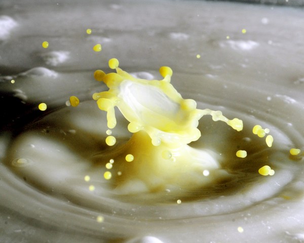 Yellow Splash 2