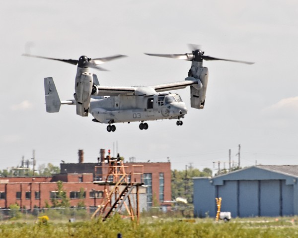 The Osprey