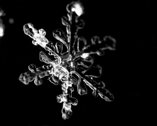 Snowflake
