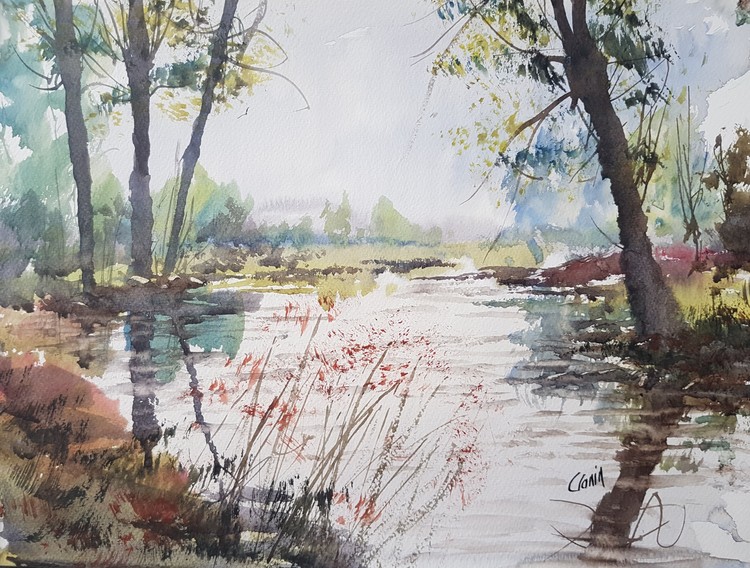 Quiet Stream