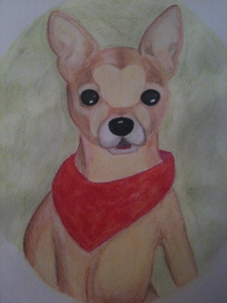 Commissioned Dog
