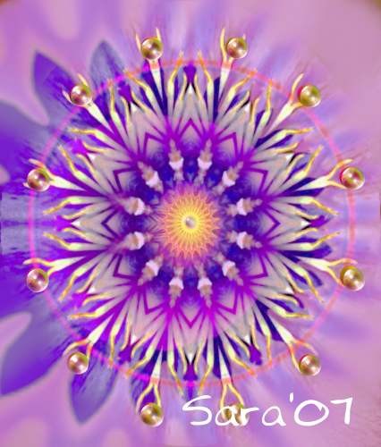Blossoming