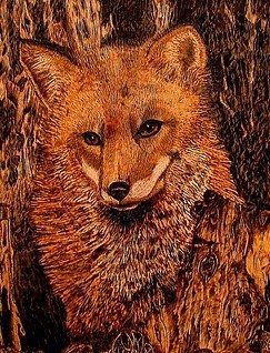 Red Fox