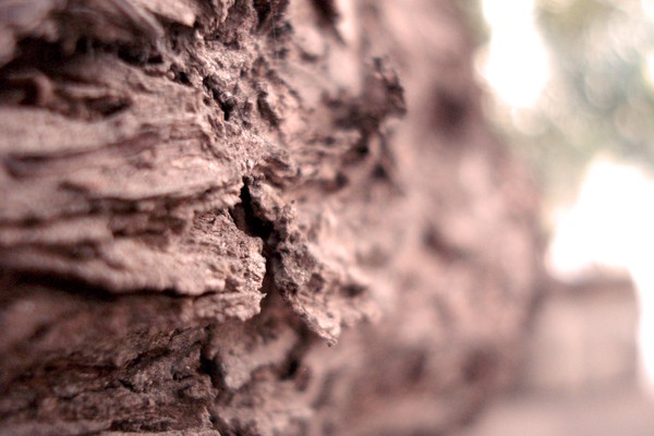 wood