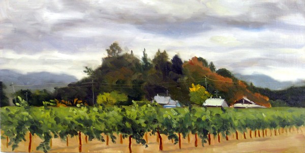 Overcast Vineyards