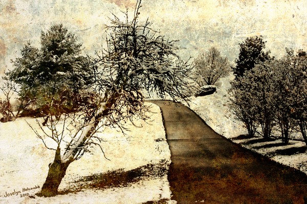 Old Peach Tree