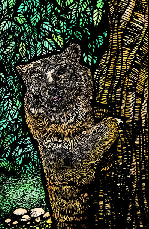 bear
