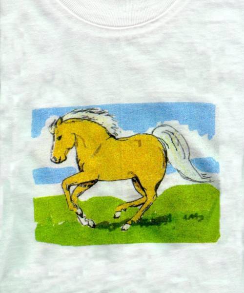 Galloping Pony